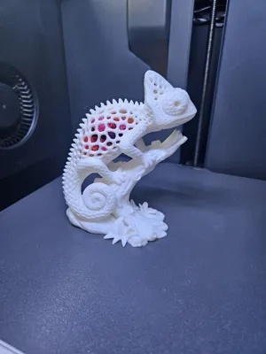 kameleon