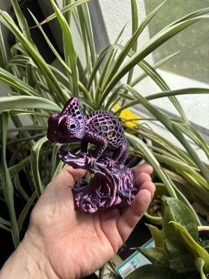 kameleon