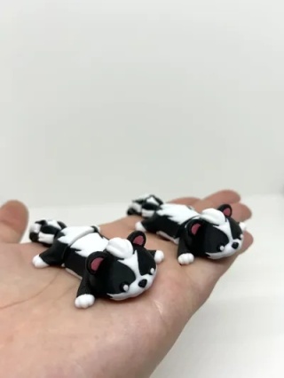 skunks